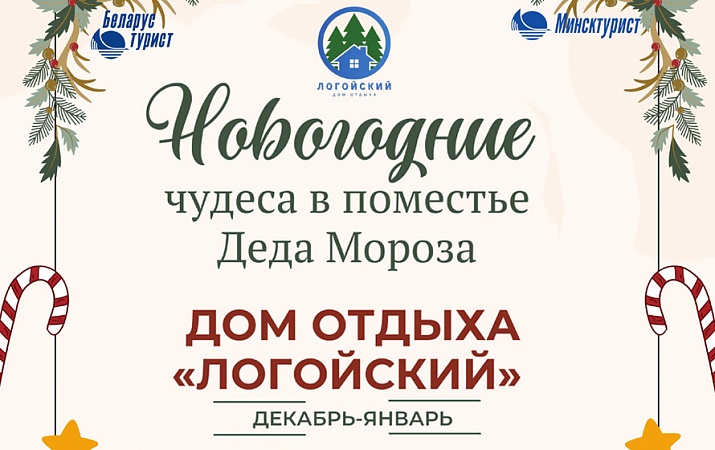 Новогодние чудеса в поместье Деда Мороза