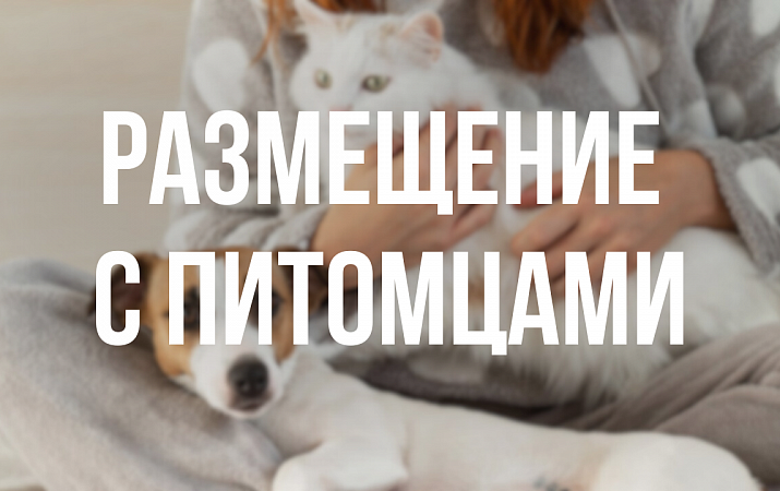 Размещение с питомцами